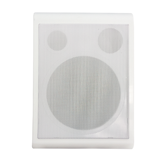 M-507 6.5” full range speaker on-wall with transformer wall speaker