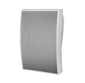 Wall Speaker